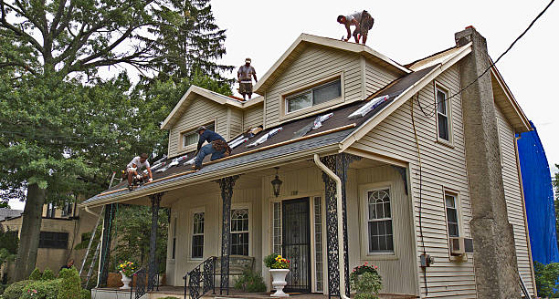 Best Roof Gutter Cleaning  in New City, NY