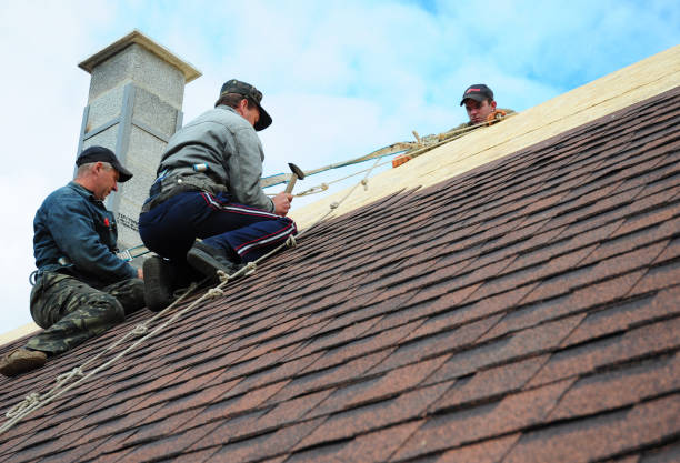 Best Roof Waterproofing Services  in New City, NY